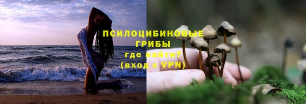 кокаин Бородино