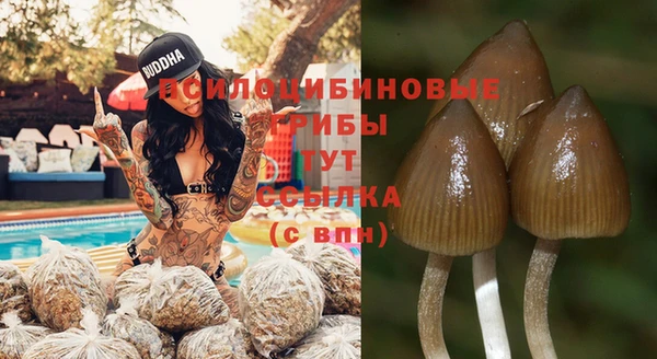кокаин Бородино