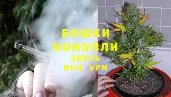 молекула духа Бугульма