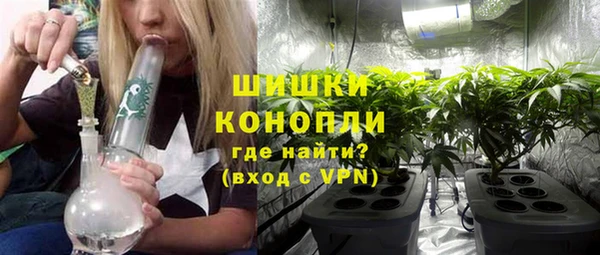 молекула духа Бугульма