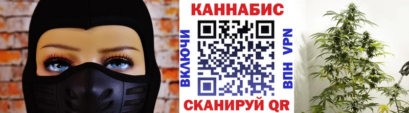 Шишки марихуана THC 21% Купить закладки Светогорск